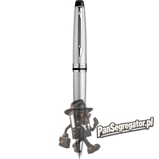Długopis EXPERT CT stalowy WATERMAN S0952100