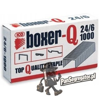Zszywki SAX 24/6-1000 galwanizowane BOXER SAXB24/6