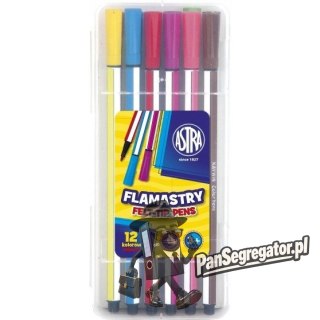 Flamastry heksagonalne 12 kolorów pisaki w plastikowym pudełku 314115001 ASTRA