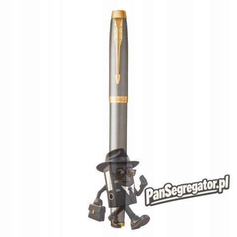 Pióro wieczne (F) IM brushed metal GT 1931649 PARKER