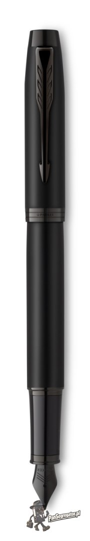 Pióro wieczne IM ACHROMATIC BLACK (F) 2127741