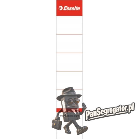 Etykiety grzbietowe do segregatorów 50mm (szerokość 38mm) białe 10sztuk 810811 ESSELTE