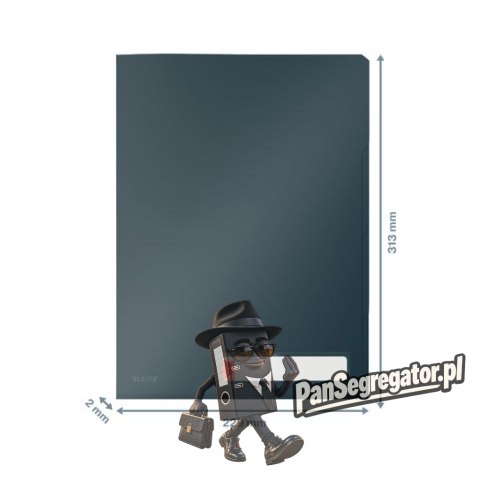 Folder A4 z 3 przegródkami, szary 47160089 LEITZ