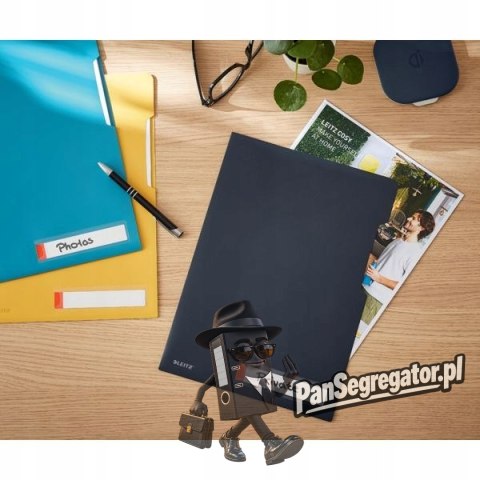 Folder A4 z kieszonką na etykietę, szara 47080089 LEITZ
