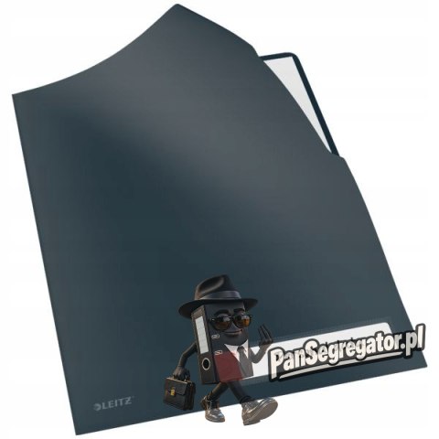 Folder A4 z kieszonką na etykietę, szara 47080089 LEITZ