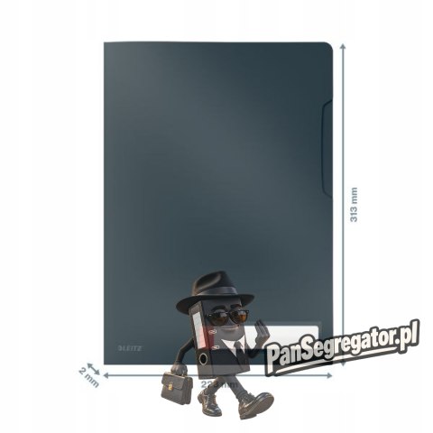 Folder A4 z kieszonką na etykietę, szara 47080089 LEITZ