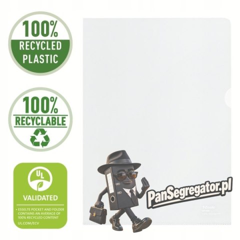 Folder groszkowy A4 Recycled Premium PP 100 mic.opakowanie 100 sztuk 627496 ESSELTE