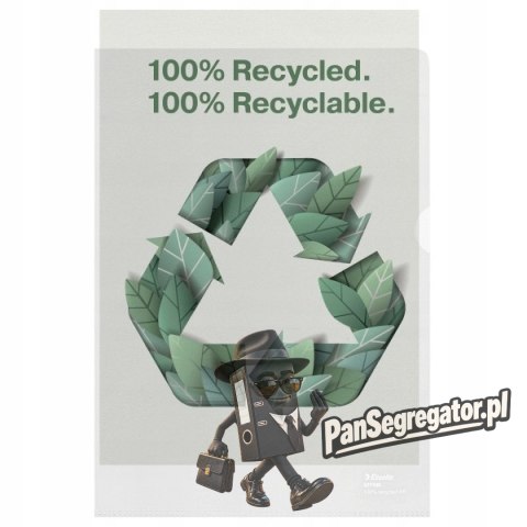 Folder groszkowy A4 Recycled Premium PP 100 mic.opakowanie 100 sztuk 627496 ESSELTE