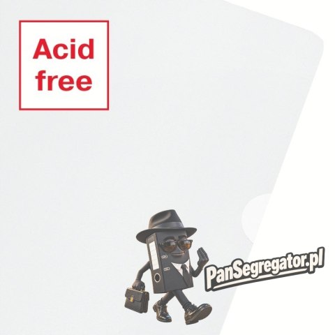 Folder groszkowy A4 Recycled Premium PP 100 mic.opakowanie 100 sztuk 627496 ESSELTE