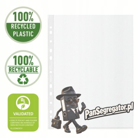 Koszulka groszkowa Recycled Premium PP 100 mic. A4 opakowanie 50 sztuk 627501 ESSELTE