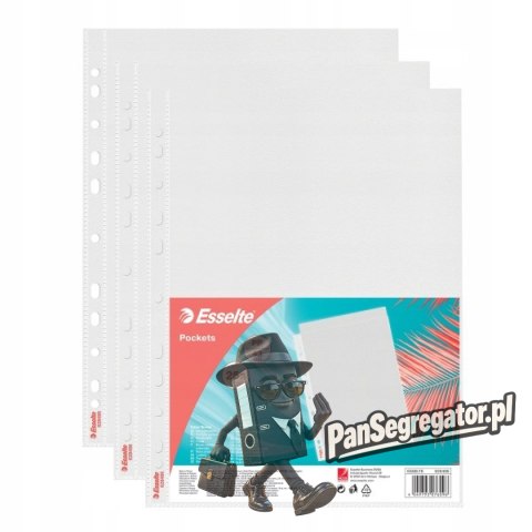Koszulki ColourBreeze PP 43 mikrony 25 szt. 628486 ESSELTE