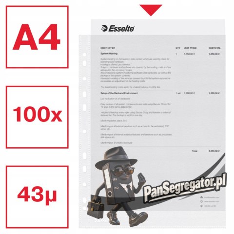 Koszulki groszkowe na dokumenty A4 35mic 100 sztuk 16690 ESSELTE