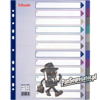 Przekładka PP A4 MULTICOLOR 12kart 20649 MAXI ESSELTE
