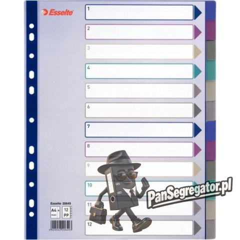 Przekładka PP A4 MULTICOLOR 12kart 20649 MAXI ESSELTE