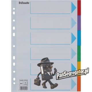 Przekładki karton A4 6 kart ESSELTE 100192 kolorowe z kartą opisową