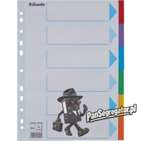 Przekładki karton A4 6 kart ESSELTE 100192 kolorowe z kartą opisową