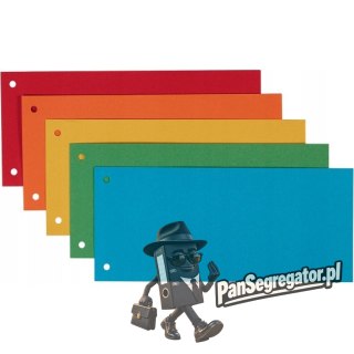 Przekładki kartonowe 1/3 A4 (100 sztuk) mix kolorów (separatory) 624450 ESSELTE