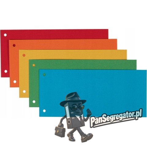Przekładki kartonowe 1/3 A4 (100 sztuk) mix kolorów (separatory) 624450 ESSELTE
