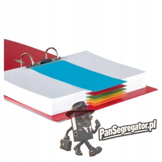 Przekładki kartonowe 1/3 A4 (100 sztuk) mix kolorów (separatory) 624450 ESSELTE