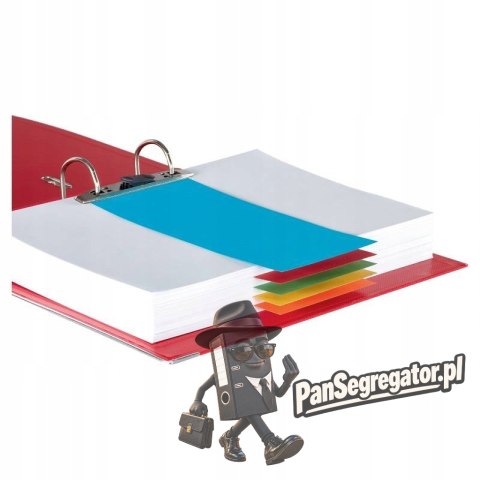 Przekładki kartonowe 1/3 A4 (100 sztuk) mix kolorów (separatory) 624450 ESSELTE