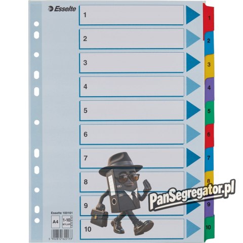 Przekładki kartonowe MYLAR A4 1-10 białe 100161 ESSELTE