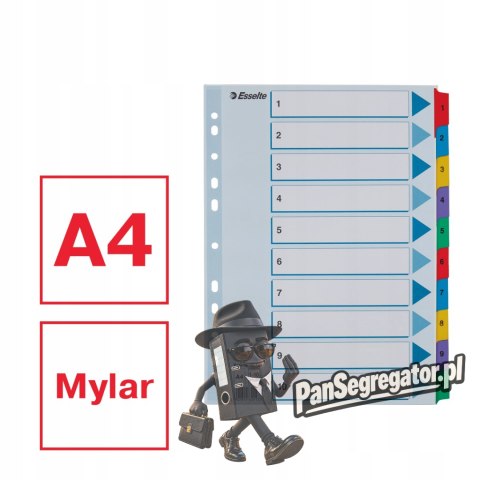 Przekładki kartonowe MYLAR A4 1-10 białe 100161 ESSELTE