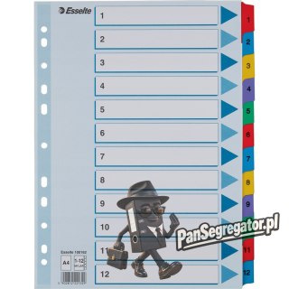 Przekładki kartonowe MYLAR A4 1-12 białe 100162 ESSELTE