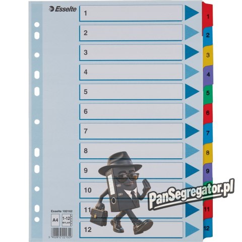 Przekładki kartonowe MYLAR A4 1-12 białe 100162 ESSELTE