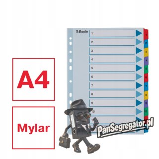 Przekładki kartonowe MYLAR A4 1-12 białe 100162 ESSELTE
