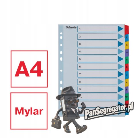 Przekładki kartonowe MYLAR A4 1-12 białe 100162 ESSELTE