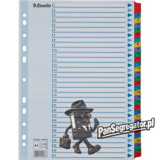 Przekładki kartonowe MYLAR A4 1-31 białe 100164 ESSELTE
