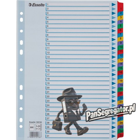 Przekładki kartonowe MYLAR A4 1-31 białe 100164 ESSELTE