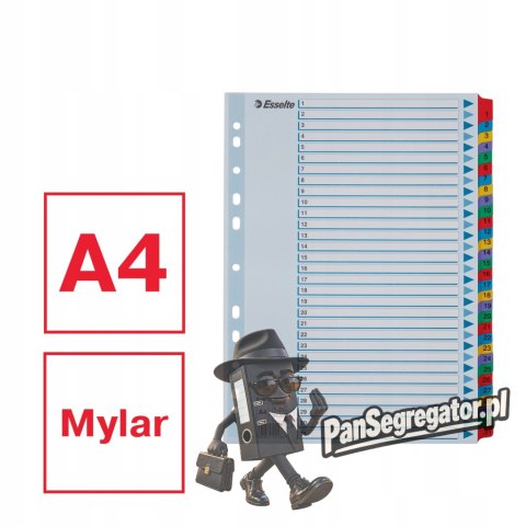 Przekładki kartonowe MYLAR A4 1-31 białe 100164 ESSELTE