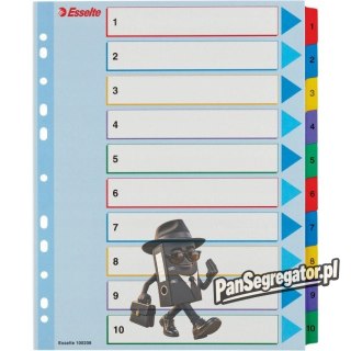 Przekładki kartonowe MYLAR A4 MAXI 1-10 ESSELTE 100208