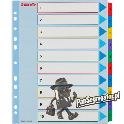 Przekładki kartonowe MYLAR A4 MAXI 1-10 ESSELTE 100208