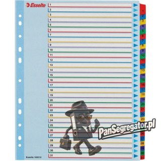 Przekładki kartonowe MYLAR A4 MAXI 1-31 ESSELTE 100210