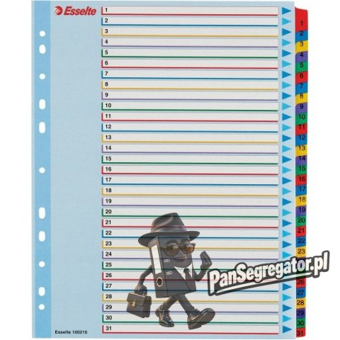 Przekładki kartonowe MYLAR A4 MAXI 1-31 ESSELTE 100210