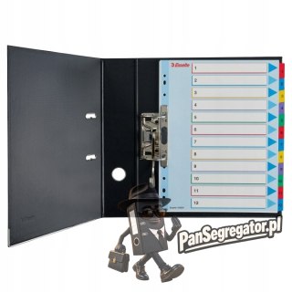 Przekładki kartonowe MYLAR A4 MAXI 1-31 ESSELTE 100210