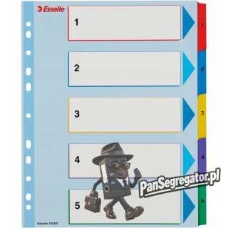 Przekładki kartonowe MYLAR A4 MAXI 1-5 ESSELTE 100207