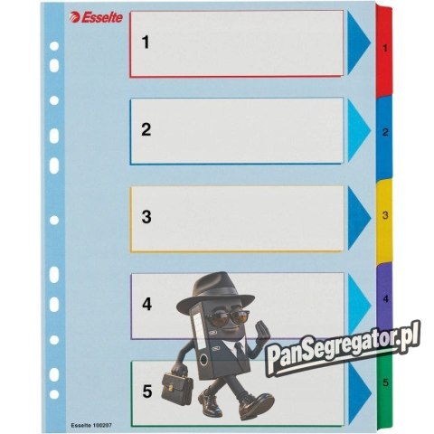 Przekładki kartonowe MYLAR A4 MAXI 1-5 ESSELTE 100207