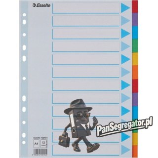 Przekładki kolorowy karton z kartą opisową A4 100194 12 kart ESSELTE