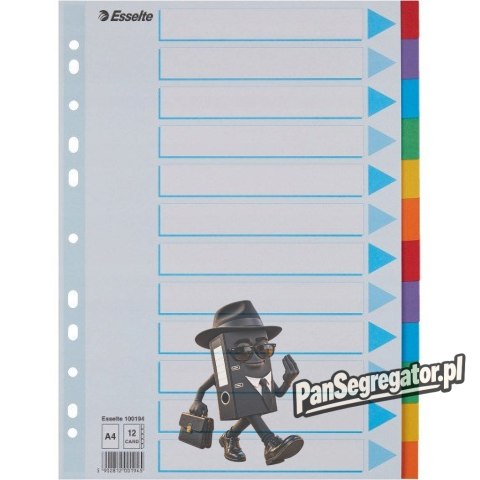 Przekładki kolorowy karton z kartą opisową A4 100194 12 kart ESSELTE