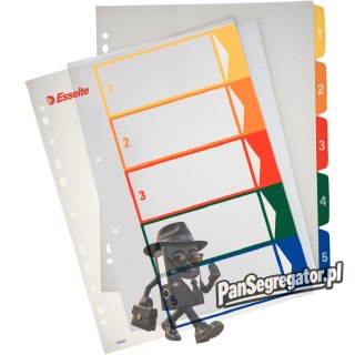Przekładki plastikowe 1-5 do zadruku 100211 ESSELTE