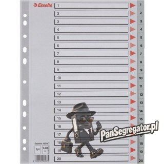 Przekładki plastikowe numeryczne A4 1-20 szare ESSELTE 100107