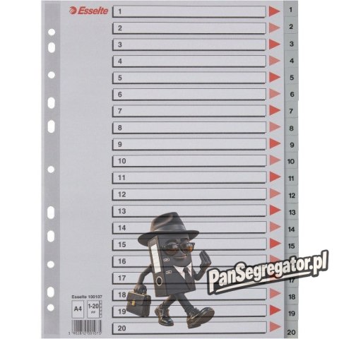 Przekładki plastikowe numeryczne A4 1-20 szare ESSELTE 100107
