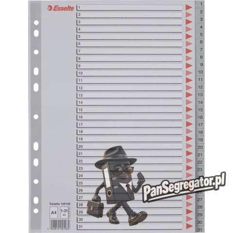 Przekładki plastikowe szare PP A4 1-31 numeryczne 100108 ESSELTE