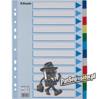 Przekładki plastikowe z PP A4 12 kart 15262 ESSELTE