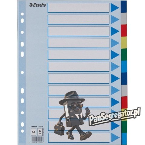 Przekładki plastikowe z PP A4 12 kart 15262 ESSELTE