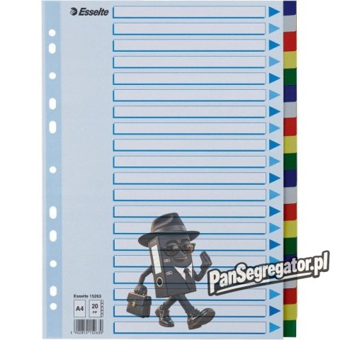 Przekładki plastikowe z PP A4 20 kart 15263 ESSELTE