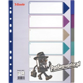 Przekładka PP A4 MULTICOLOR 6 kart 20647 MAXI ESSELTE
